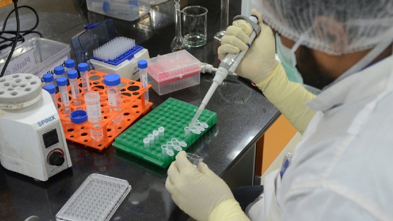 Imagem de Todas as farmacêuticas «com problemas» de produção