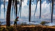 Imagem de Fogo em Bustelo passou para território espanhol