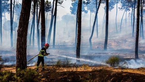 Imagem de Fogo em Bustelo passou para território espanhol