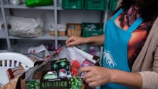 Imagem de Número de famílias apoiadas pela Associação CASA aumentou