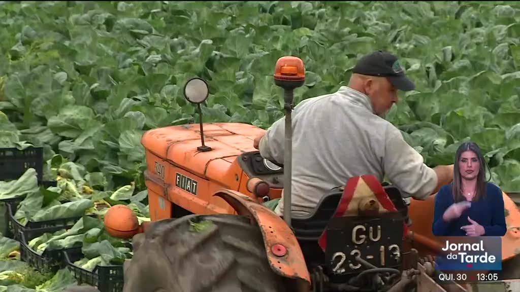 Imagem de Cabaz alimentar essencial com ligeira descida