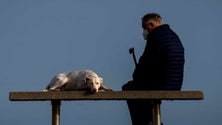 Imagem de Regime geral do bem-estar animal até ao fim do ano