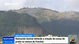 Imagem de Raimundo Quintal defende a criação de zonas de prado na cintura do Funchal