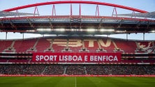 Imagem de Plantel do Benfica em testes físicos antes do regresso aos treinos