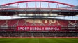Imagem de Plantel do Benfica em testes físicos antes do regresso aos treinos