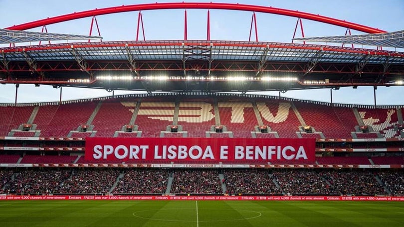 Imagem de Plantel do Benfica em testes físicos antes do regresso aos treinos
