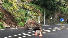 Imagem de Queda de pedregulho na via expresso na entrada para o Seixal (Vídeo)