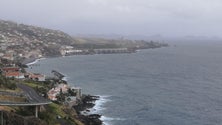 Imagem de Vento condiciona aeroporto da Madeira
