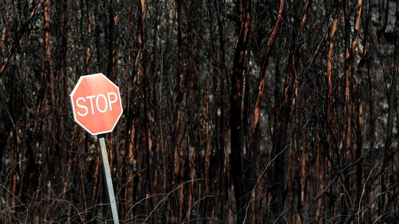 Maior parte dos fogos de 2018 com área ardida inferior a um hectare