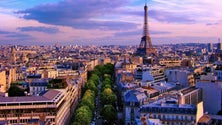 Imagem de Empresários madeirenses vão ver produtos promovidos em França