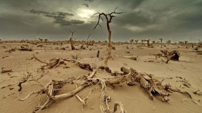 Imagem de Clima é emergência para dois terços de 1,2 milhões de pessoas