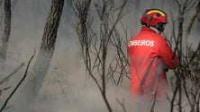Imagem de Incêndio no Jardim da Serra mobilizou mais de dez bombeiros