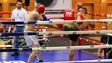 Imagem de Diogo Abrantes enfrenta italiano Angelo Volpe esta sexta-feira