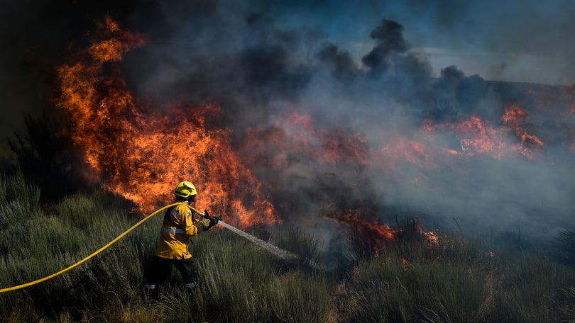 Mais de 200 operacionais combatem fogo nas Caldas da Rainha