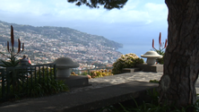Imagem de Madeira perde o título de melhor destino insular  (vídeo)