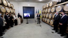 Instituto do Vinho e da Vinha dos Açores debatido em setembro no parlamento (Vídeo)