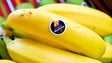 Banana da Madeira promovida na Maratona de Lisboa (áudio)
