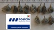 Imagem de Apanhado com droga e arma proibida