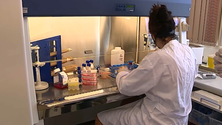 Imagem de Hospital de Ponta Delgada avalia imunidade dos trabalhadores vacinados (Vídeo)
