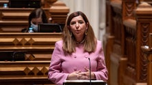 Imagem de Madeira no Conselho Consultivo das Fundações (áudio)