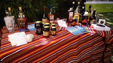 Imagem de Rota da cana-sacarina e do rum foi apresentada