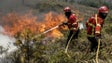 Incêndios: Principais causas este ano são uso negligente e fogo posto