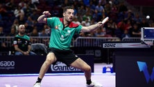 Imagem de Marcos Freitas vence WTT Contender de Lima em ténis de mesa