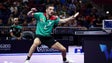Imagem de Marcos Freitas vence WTT Contender de Lima em ténis de mesa