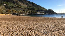 Imagem de Areia amarela, segurança e a qualidade da água em Machico (vídeo)