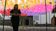 Santa Cruz acolhe instalação de arte urbana (vídeo)