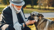 Imagem de Cães e gatos benéficos para os idosos (áudio)