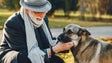 Cães e gatos benéficos para os idosos (áudio)