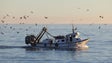 Espanha, Portugal e França propuseram quotas de pesca plurianuais