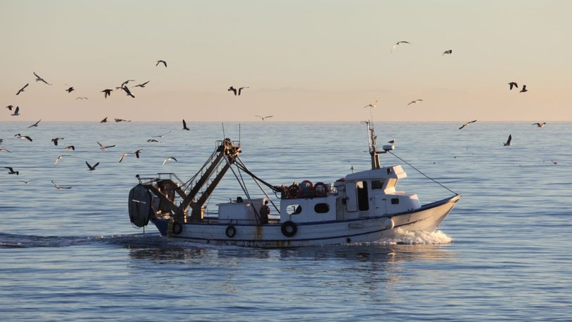Imagem de Espanha, Portugal e França propuseram quotas de pesca plurianuais