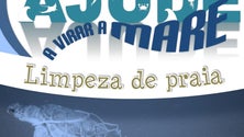 Imagem de Alunos do Caniçal limparam praias da freguesia (áudio)