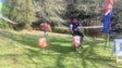 Imagem de Já começou o Madeira Orienteering Festival 2017