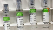 Imagem de Nova vacina consegue proteção universal contra gripe A