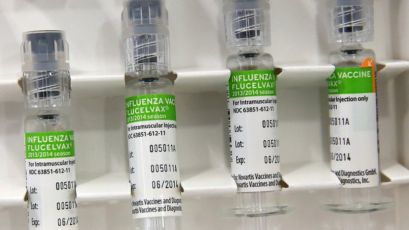 Imagem de Nova vacina consegue proteção universal contra gripe A