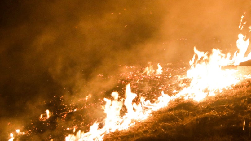 Presumível autor de um incêndio florestal detido no Caniço