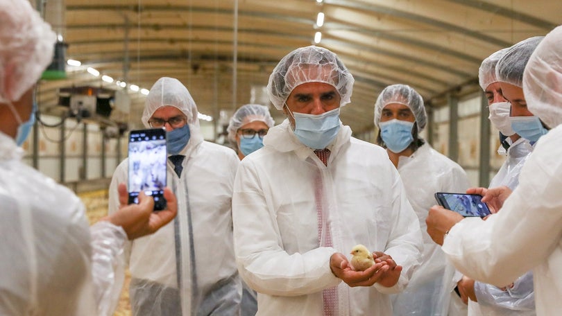 Imagem de Governo da Madeira aposta no aumento da ausossuficiência alimentar da Região