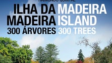 Imagem de «Ilha da Madeira – 300 árvores» é a mais recente obra de Raimundo Quintal (áudio)
