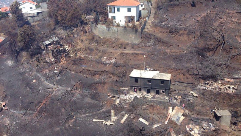 Imagem de Chamas queimaram 22% da área do concelho do Funchal
