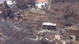 Chamas queimaram 22% da área do concelho do Funchal