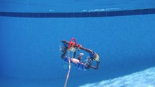 Imagem de Alunos madeirenses constroem robôs subaquáticos e testam potencialidades da ferramenta de pesquisa
