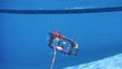 Alunos madeirenses constroem robôs subaquáticos e testam potencialidades da ferramenta de pesquisa