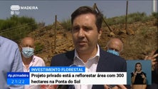 Imagem de Empresa privada está a reflorestar área com 300 hectares na Ponta do Sol (Vídeo)