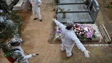 Imagem de Covid-19: Pandemia matou mais de 75 mil pessoas em todo o mundo