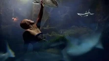 Imagem de «Super Natural» chega hoje aos cinemas (áudio)