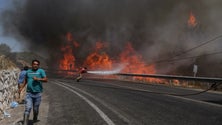 Imagem de Incêndios devastam sul da Europa