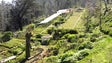 Imagem de Mais 288 mil árvores no Parque Ecológico do Funchal